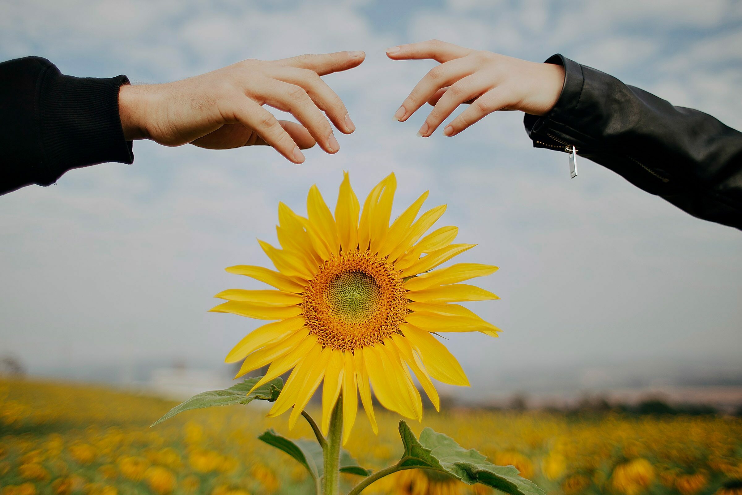 Foto de Thiago Fontana 0