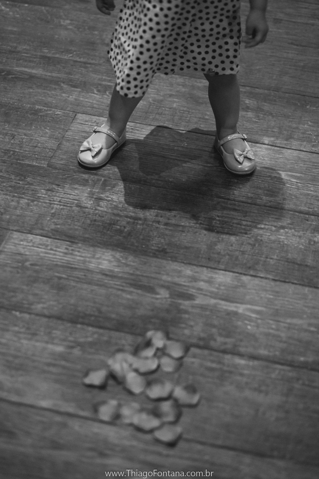 Foto Aline e Rafael - Imagem 49