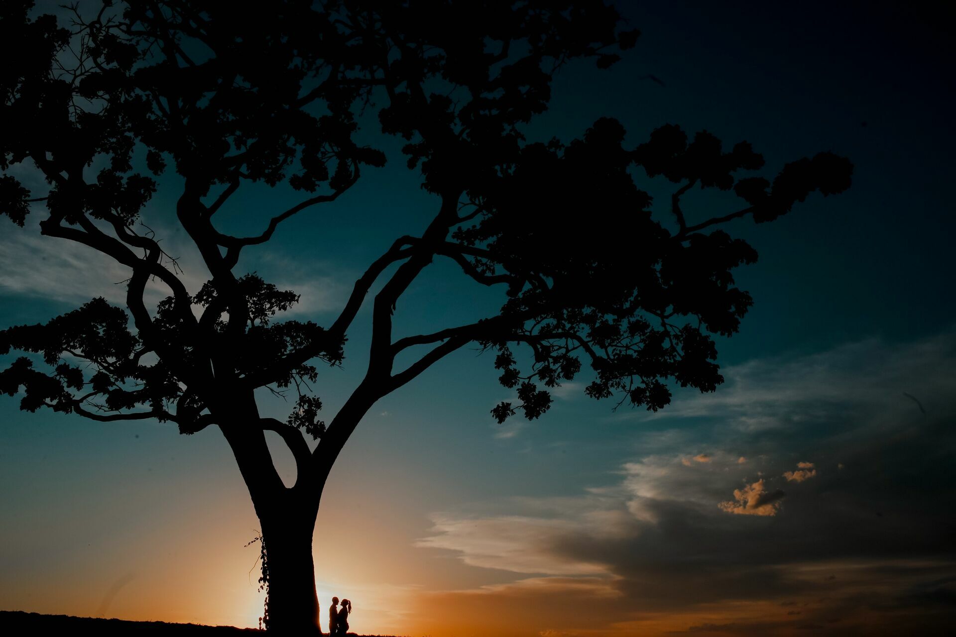 Foto Bem vindo em minha casa! Aqui eu realizo os meus sonhos quando fotografo os seus. Foto Bem vindo em minha casa! Aqui eu realizo os meus sonhos quando fotografo os seus. - Imagem 34