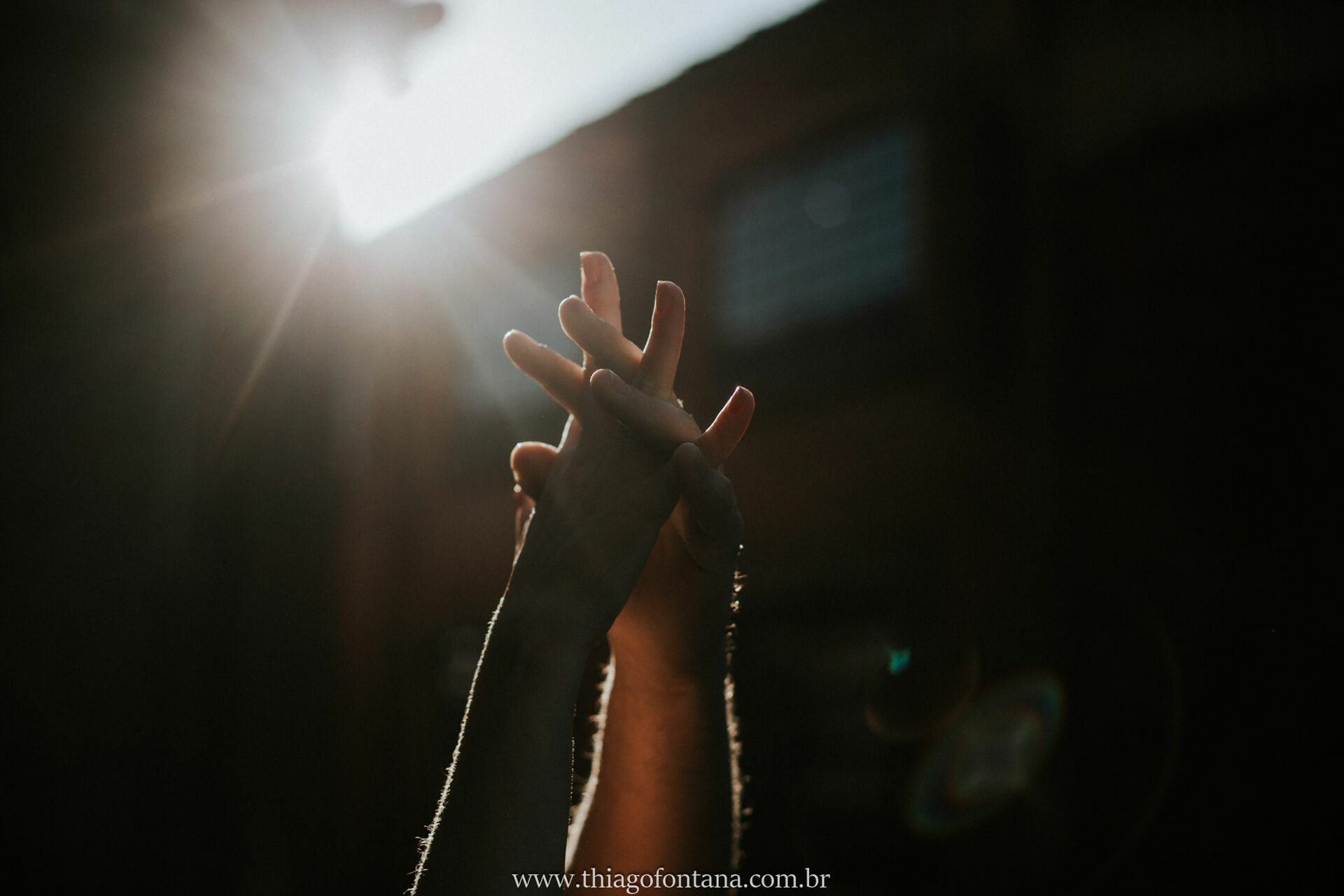 Foto Carol e Lucas - Imagem 8